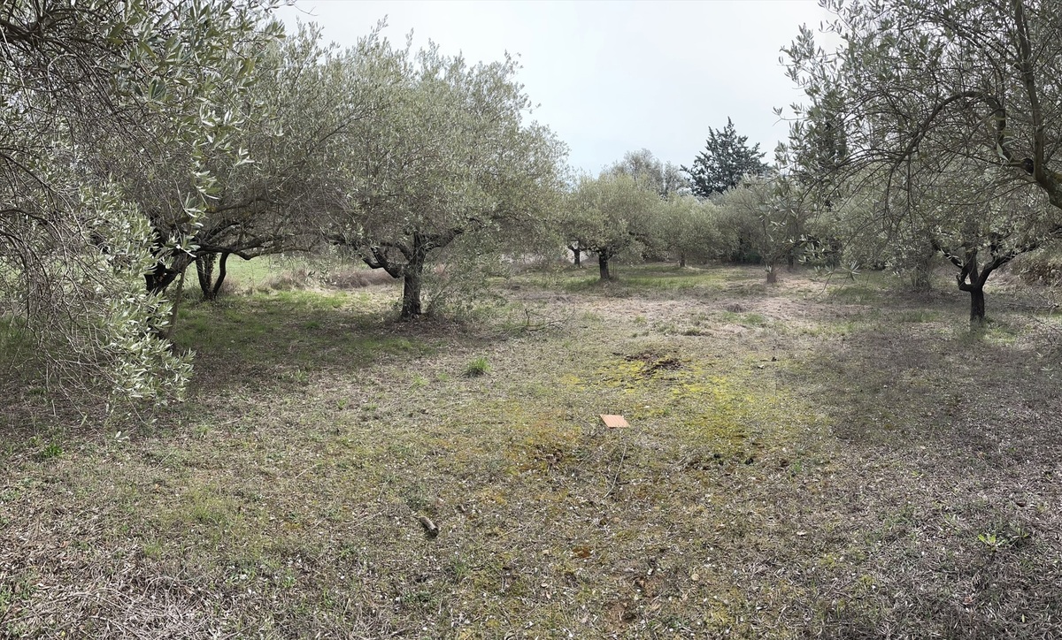 Terrain - Salernes