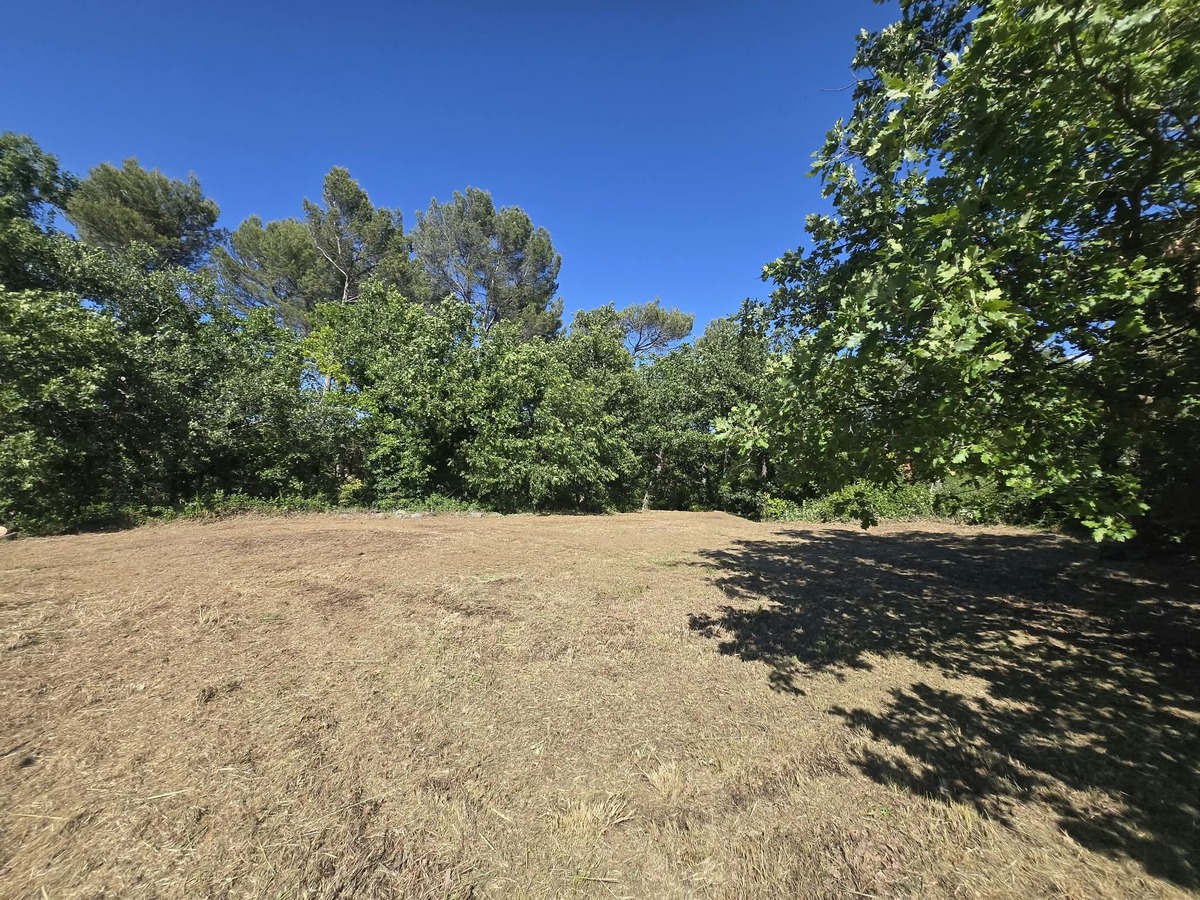 Projet Terrain Saint-Maximin-la-Sainte-Baume