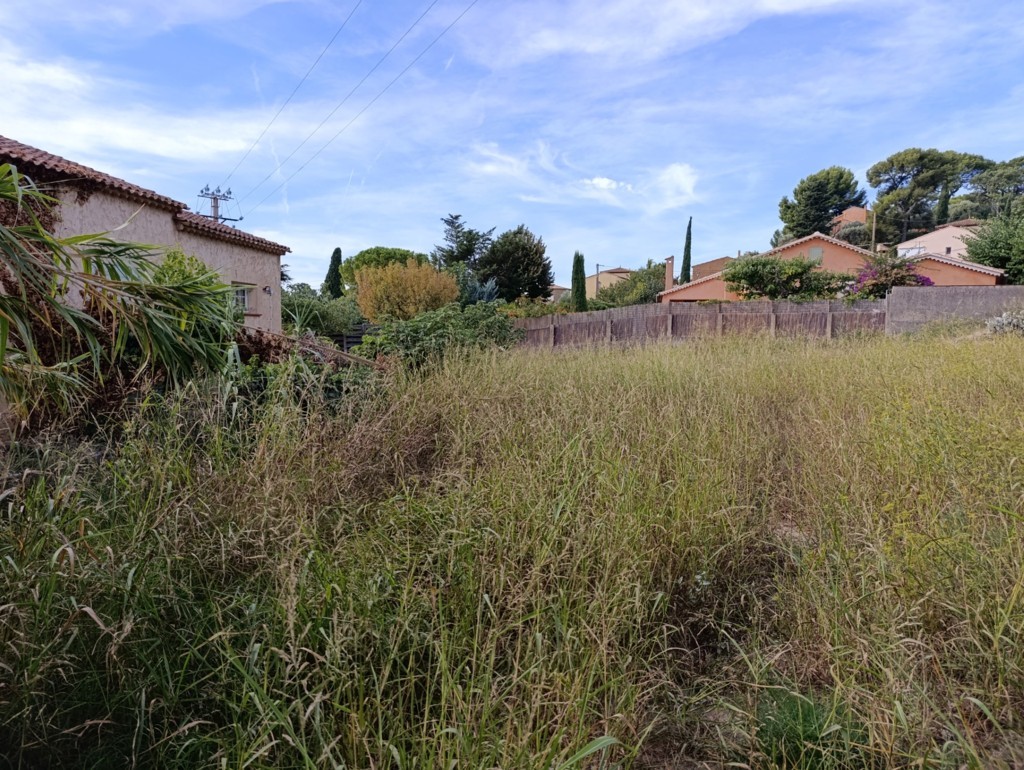 Projet Terrain Ollioules